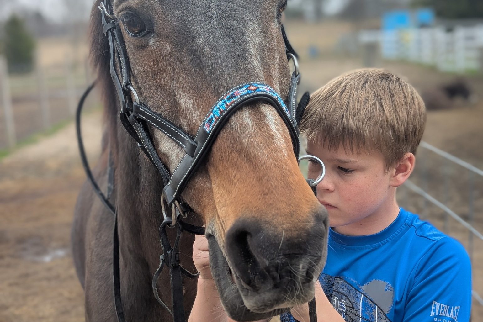 sam and horse